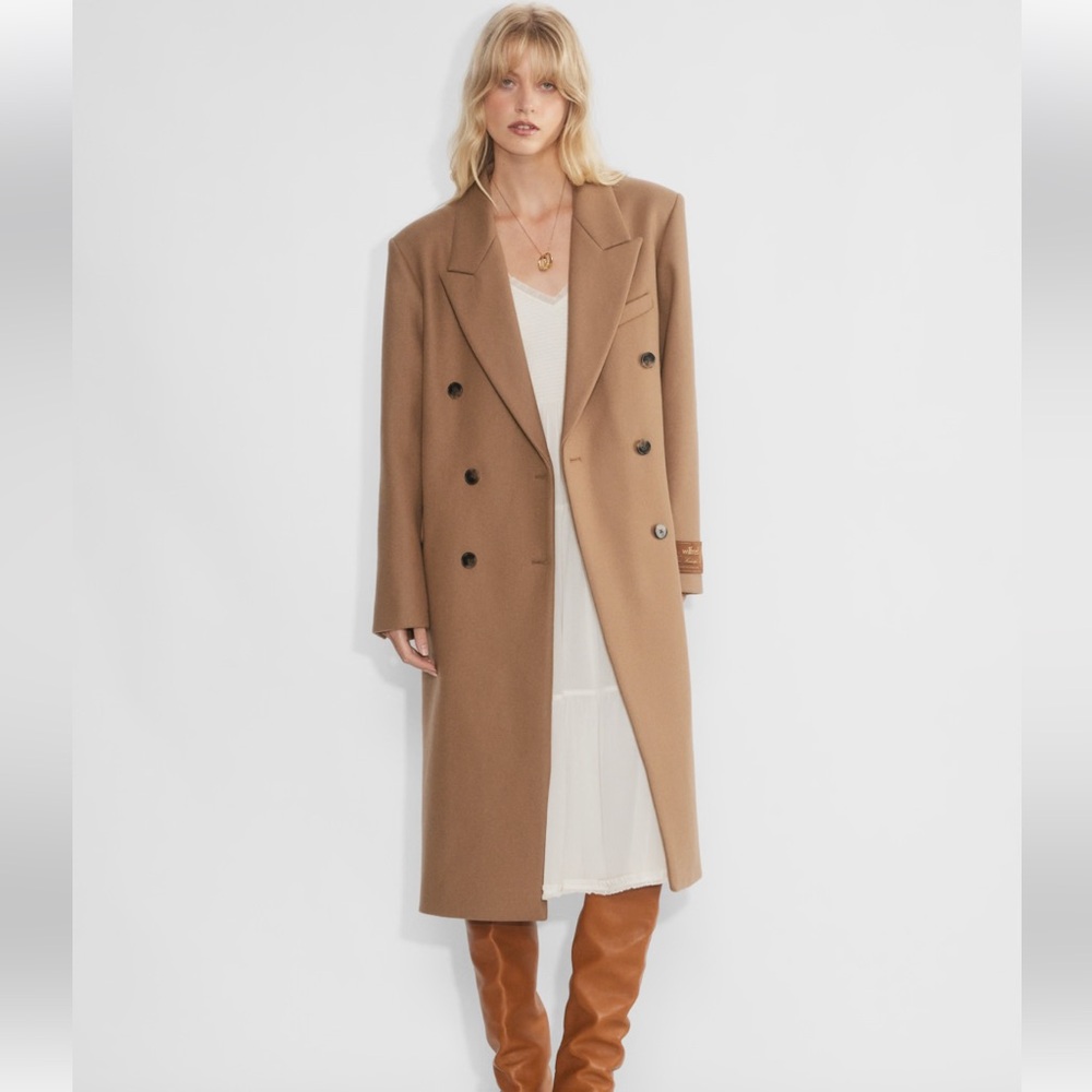 Aritzia Wilfred Symphony Coat
